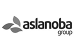 aslanoba-logo